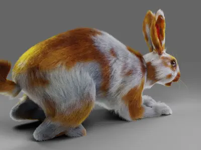 Fur Rabbit Gray V03 Rigged Low-poly 3D model