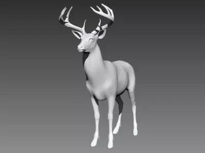 Deer base mesh for Zbrush 3D model