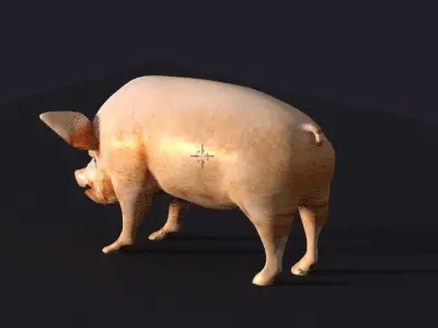 pig lowpoly Low-poly 3D model