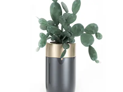 Houseplants in a luxury pot for the interior 704 3D model