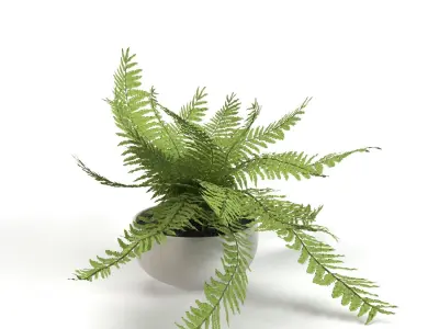 Faux Potted Fern Plant 10in  PBR 3D model