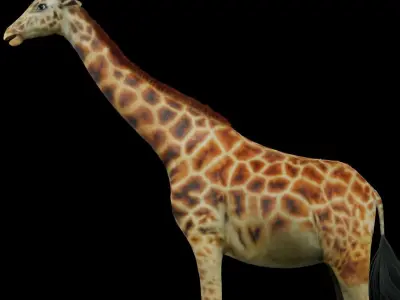 giraffe for game 3D model