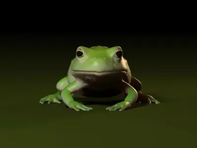 Frog 001 3D model