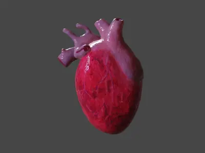 Human Heart Model - low poly Low-poly 3D model