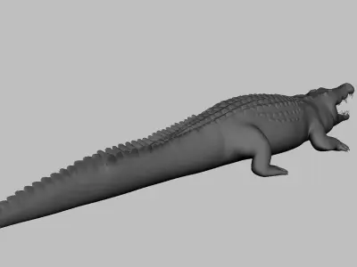 Crocodile Model Low-poly 3D model
