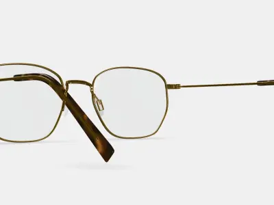 Hale Eyeglasses in Polished Gold 3D model