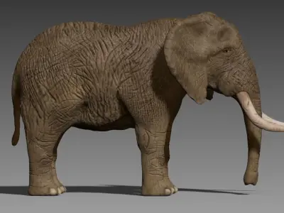 Brown Elephant Low-poly 3D model