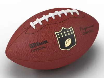 Football Wilson 2 3D model