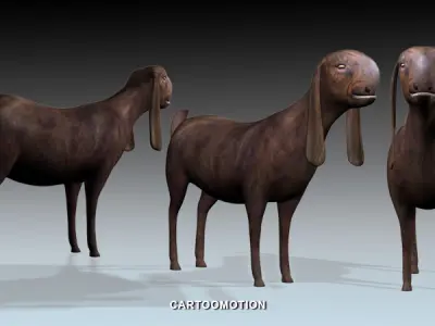 Syrian Goat Al SHAMI GOAT Low-poly 3D model