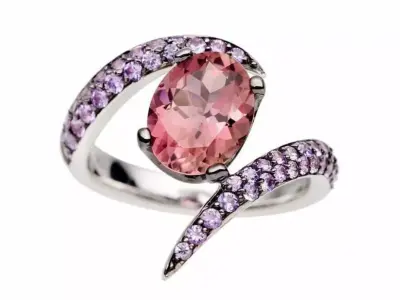 Ring with 2 casts 3D print model