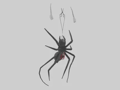 Black Widow Spider hanging model 3D model