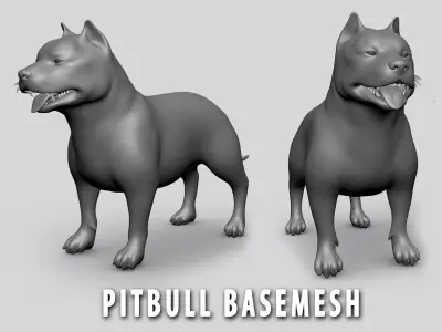 PitBull BaseMesh Low-poly 3D model
