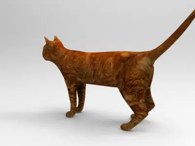 Cat game ready low poly model 3D orange Low-poly 3D model