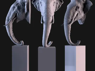 Head Elephant Asian 3D print model