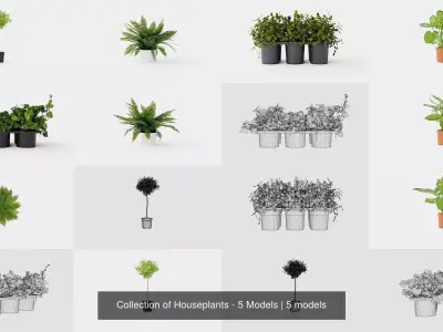Collection of Houseplants - 5 Models