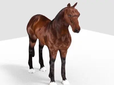 HORSE 3D model