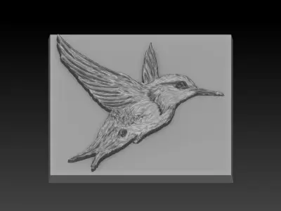 Birdd plastic plate with holes 3D print model