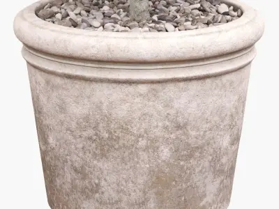 Potted Topiary Buxus 03 3D model