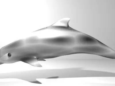Dolphin - Coastal 3D model