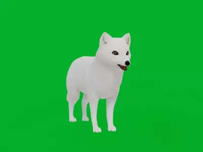 Arctic Fox Low-poly 3D model