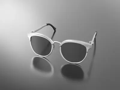 Luxury Sunglasses 3D Model 5 3D model