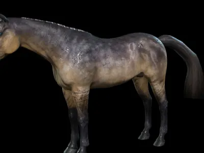 Thoroughbred Arabian Horse WILD WORLD PONY 5 Low-poly 3D model