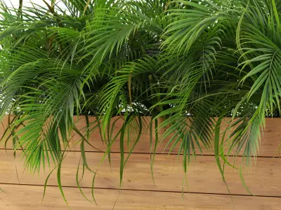 Plants collection 462 3D model