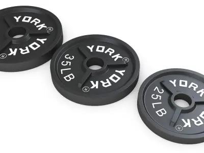 Gym Weight Plates 3D model