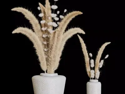 Pampase03 3D model