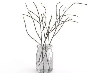Branches in Glass Vase 3D model