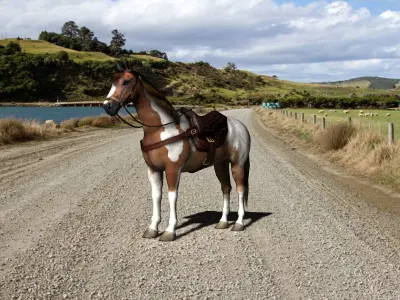 Pinto Horse with saddle and bags Low-poly 3D model