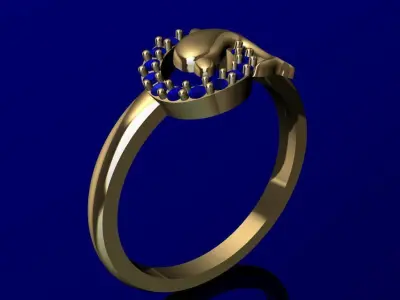 ANILLO DE DELFIN MODELO 3D  3D print model