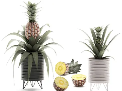 Decorative Pineapple in a pot for the interior 538 3D model