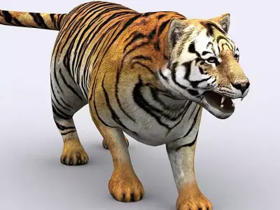 3DRT - Tiger Low-poly 3D model