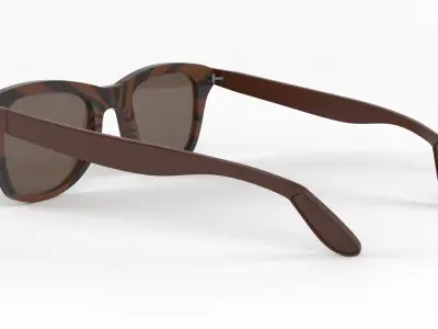 Classic Polarized Sunglasses 3D model