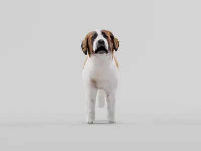 Saint Bernard  Low-poly 3D model