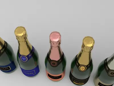 Nicolas Feuillatte Palmes Dor Champagne All Brut Bottles 3D model