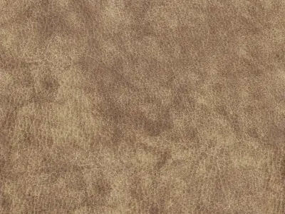 Tabano Chair Leather 3D model