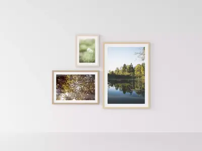 Picture Frames Nature I 3D model