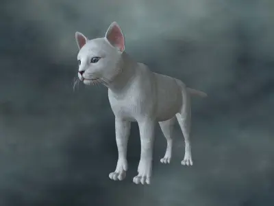 CATS-003 Rigged Cat 3D model