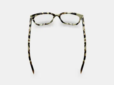 Hughes Eyeglasses in Marzipan Tortoise 3D model