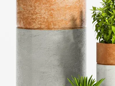 Decorative plant set-29 3D model