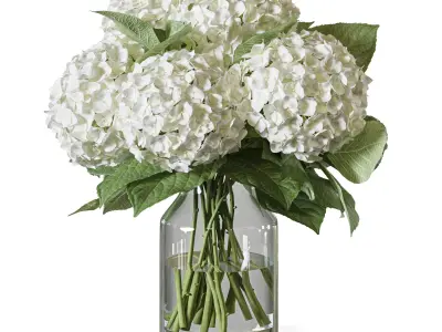 Flower Set 103 hydrangea 3D model