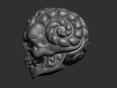 skull 3D print model