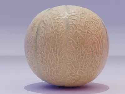 Melon Low-poly 3D model