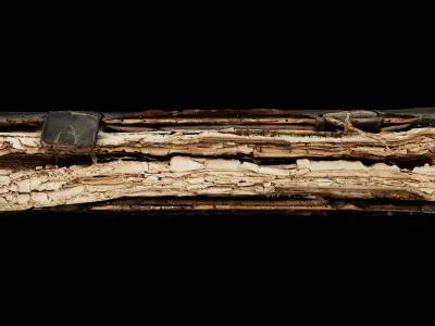 Unique Old Realistic Book 3D model