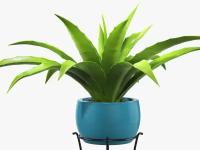 Plant potted 04 on console 3D model