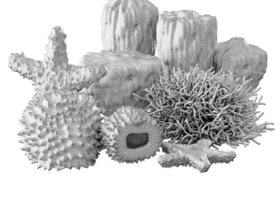 Marine decorations 3D model