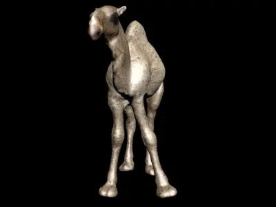 laos Dromedary 3D model