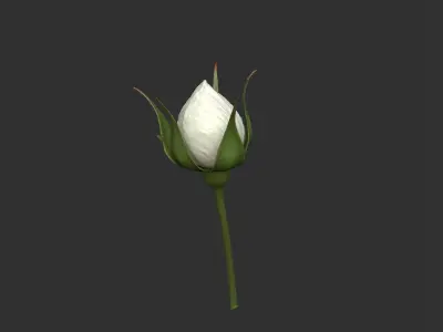 Rose LaerZ  Zbrush tool  Low-poly 3D model